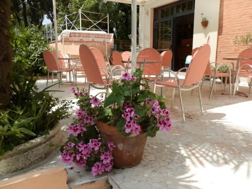Hotel Antille 