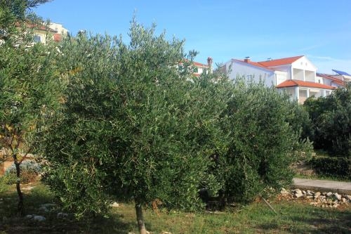 Apartment Novalja 9326a 