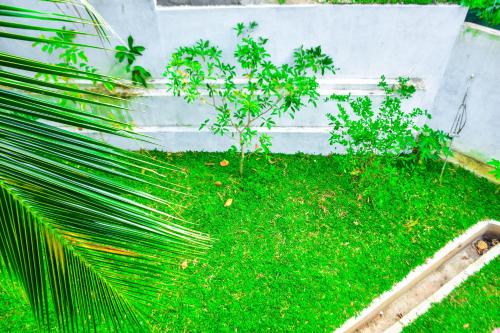 Pleasure Home 