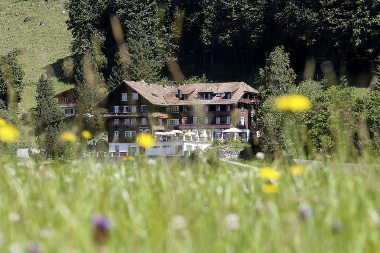 Hotel Restaurant Hammer (هتل رستاورانت هامر) 