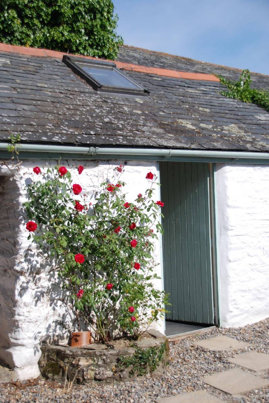 Trenderway Farm 