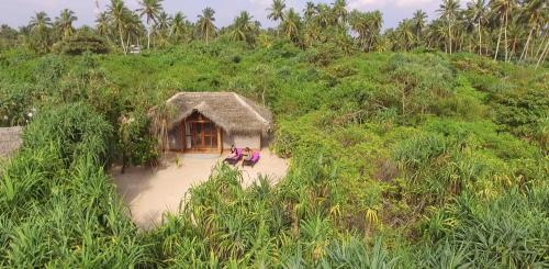 Jungle Beach Camp 
