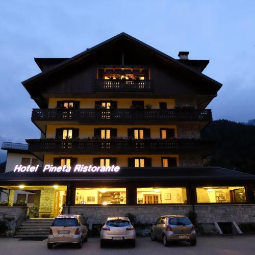 Hotel Pineta 