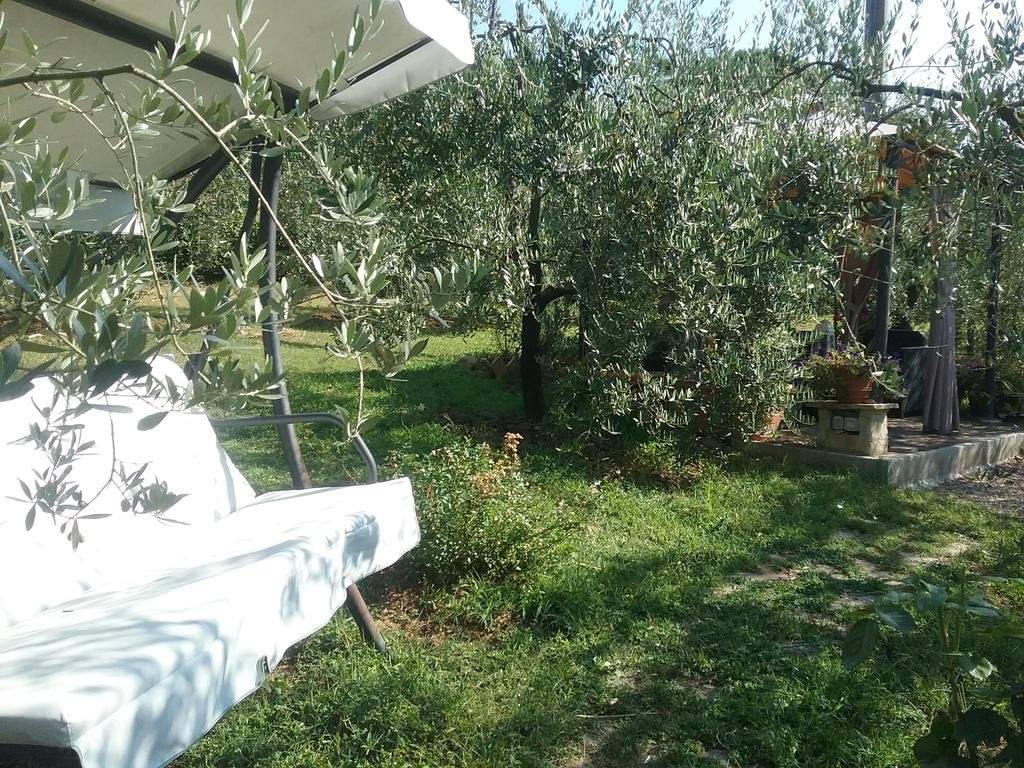Casa Vacanze L'oliveta 
