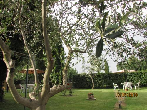 B&b La Quiete 