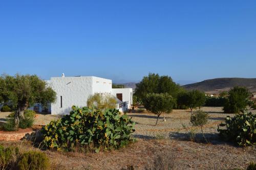 Cortijo El Campillo 