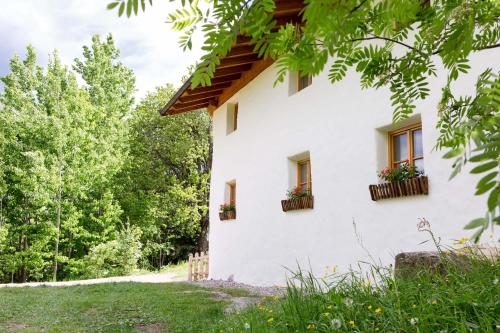 Chalet Hafling Leckplatt 