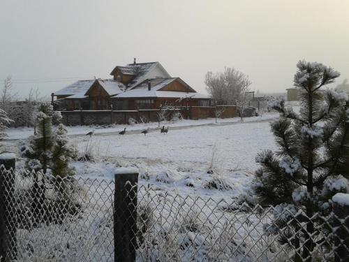 Cabanas Kauken 