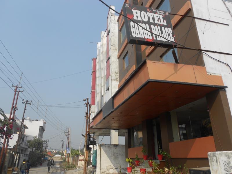 Ganga Palace 