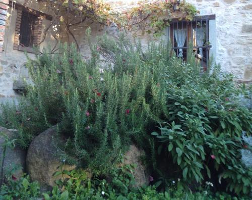 Farmstay Agriturismo Prunara 