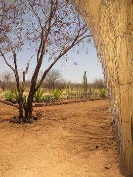 Nona Lodge Property Grounds