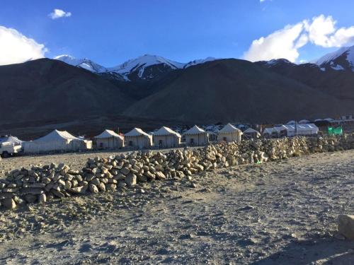 Ladakh Summer Pangong Camp 