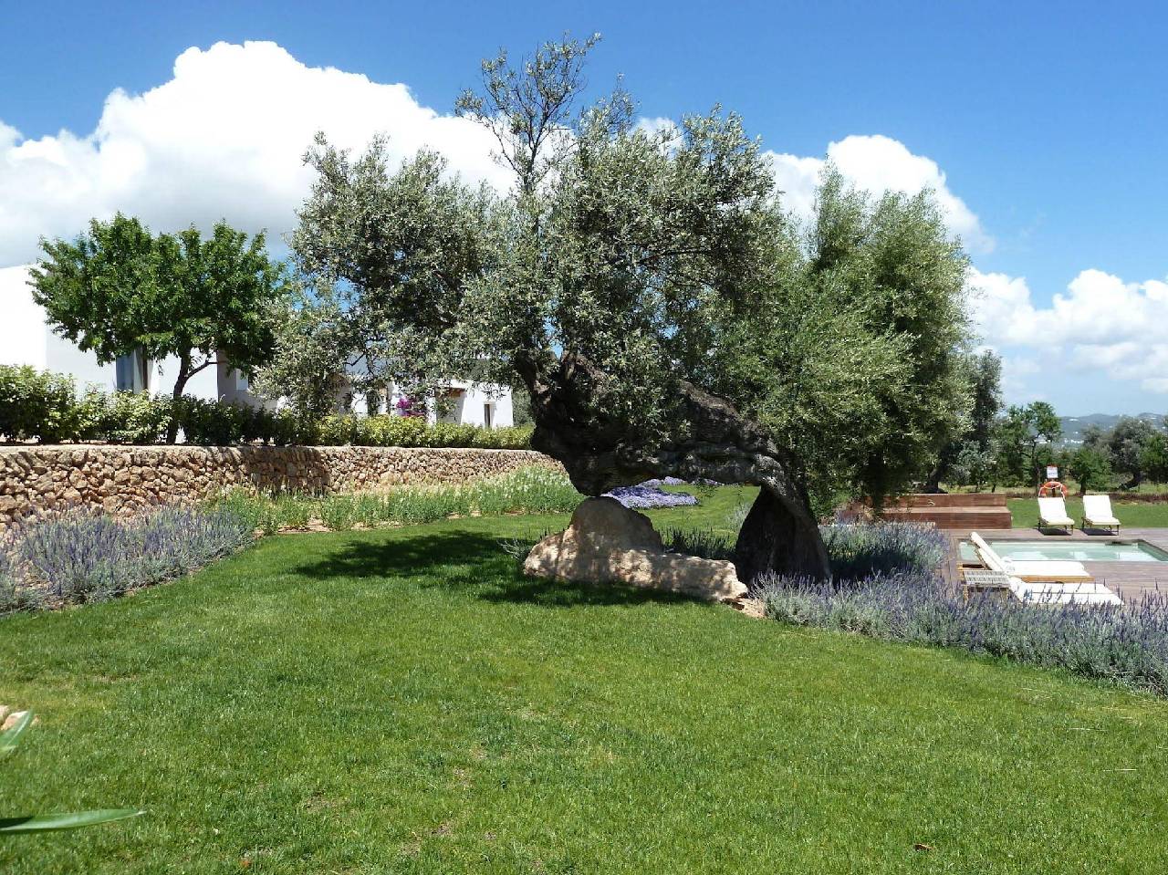 Es Trull De Can Palau 
