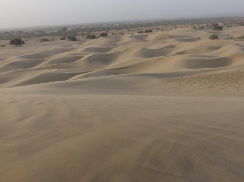 Chandani Desert Resort And Camp 