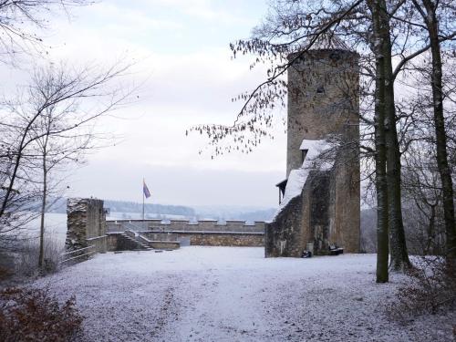 Ferienhaus Taunus Ii 