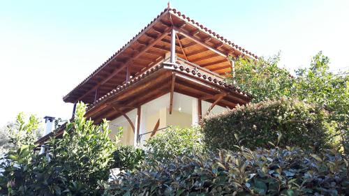 Garden Country House 