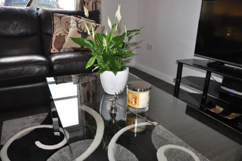 Westgate Apartments Birchlee (وستگیت آپارتمنتس بیرچلی) 