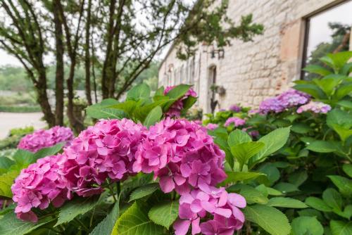 Domaine De Labarthe Maison D'hotes 