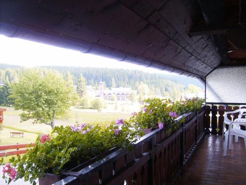 Pension Wiesengrund 