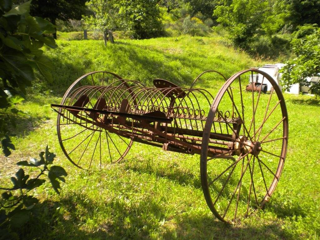Agriturismo Bosco Fiorito 