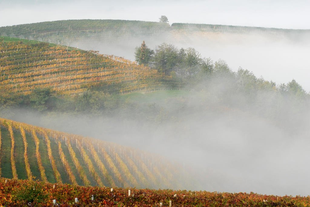Agriturismo Cascina Sciulun 