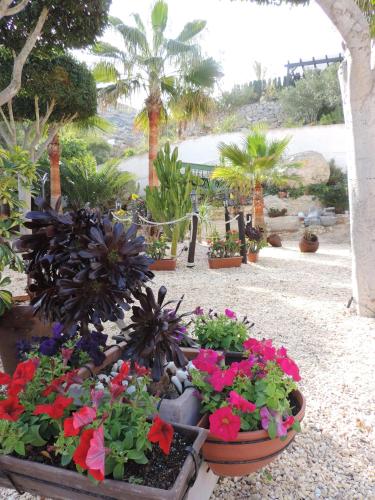 Hotel Las Calas 