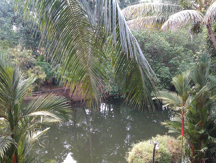 Backwater Retreat Honeymoon House 