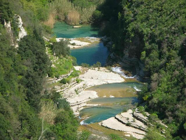 Arenaria B&b 