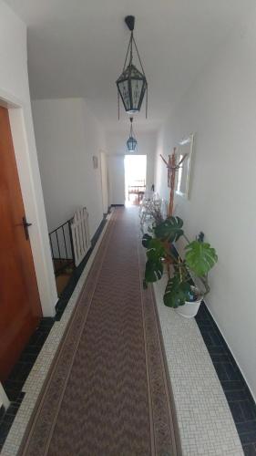 Apartment Nedjeljka Hotel Description