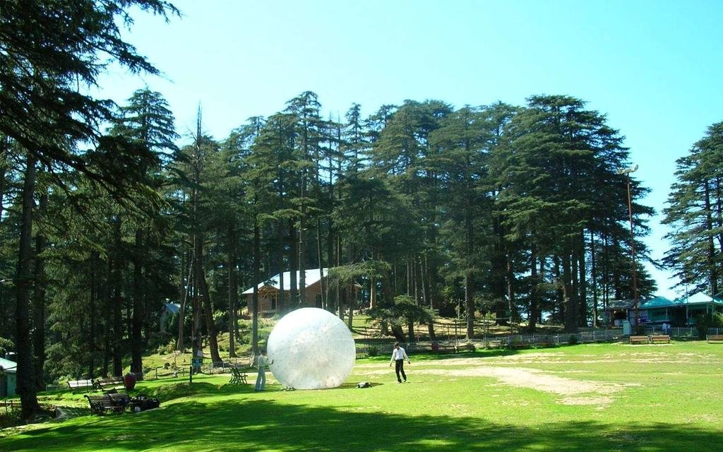 Hotel Green Top 