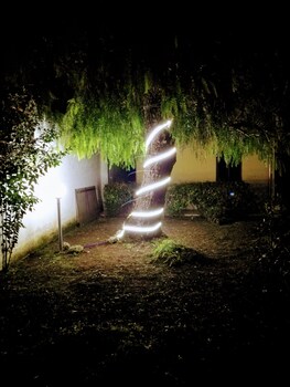 Garden Inn Garden