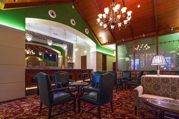 Balaji Sarovar Premiere Hotel Bar