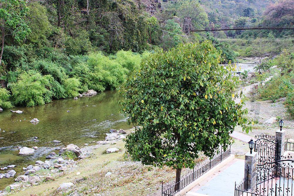 Aranyam River Retreat 