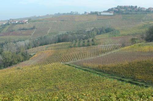 Agriturismo Il Bricco 