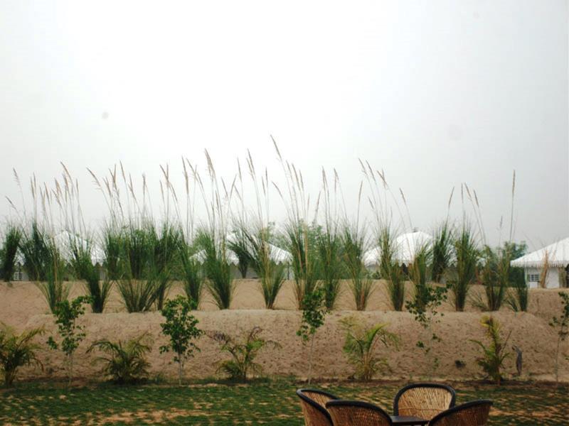 Ranthambore Tiger Resort 