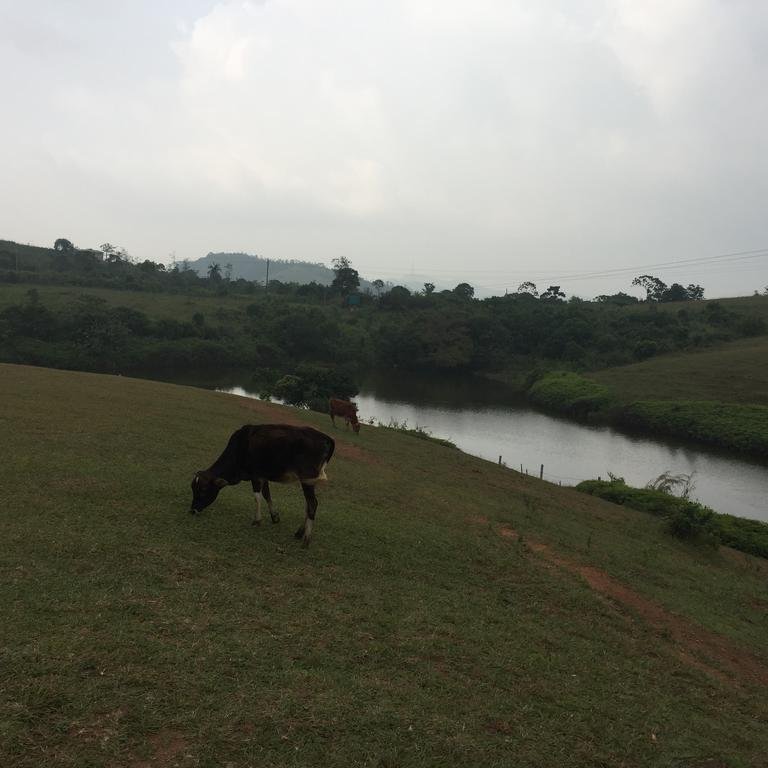 Chillax Vagamon 