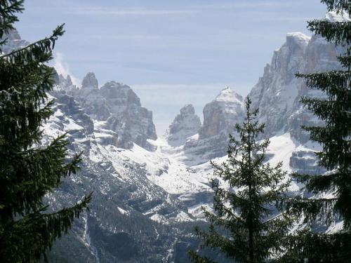 Campiglio Monolocale Cima Tosa 