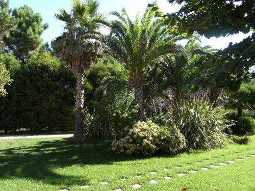 Agriturismo Villa Velia 