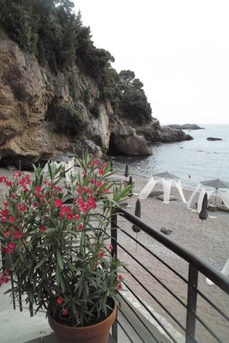 Eco Del Mare 