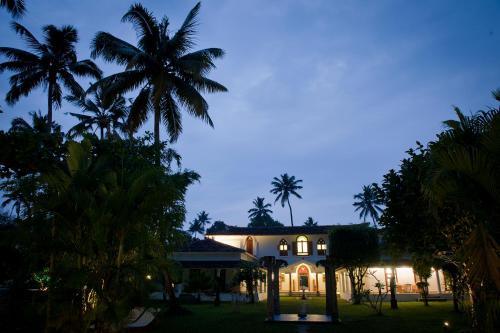 Purity At Lake Vembanad 