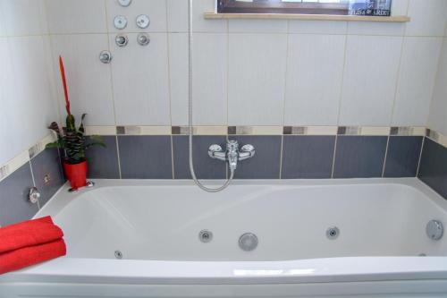 Apartment Roko 