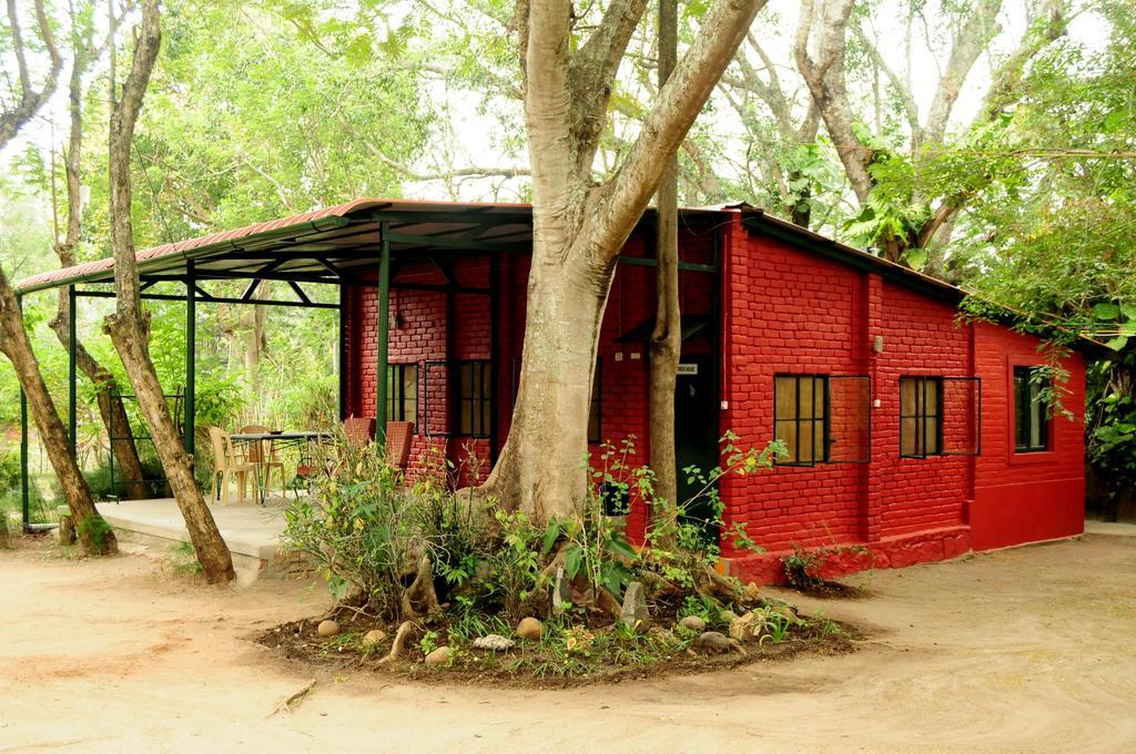 Bamboo Banks Farm & Guest House 