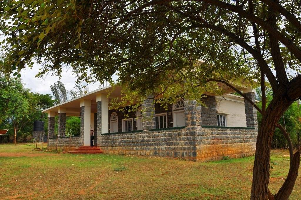 Kings Wild Retreat 