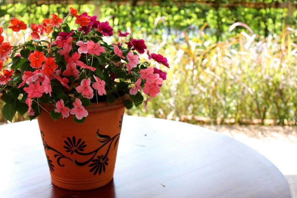 Garden Room Hostel (گاردن روم هاستل) 