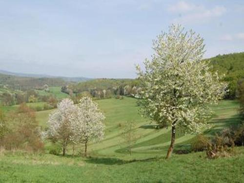 Land Und Leute 