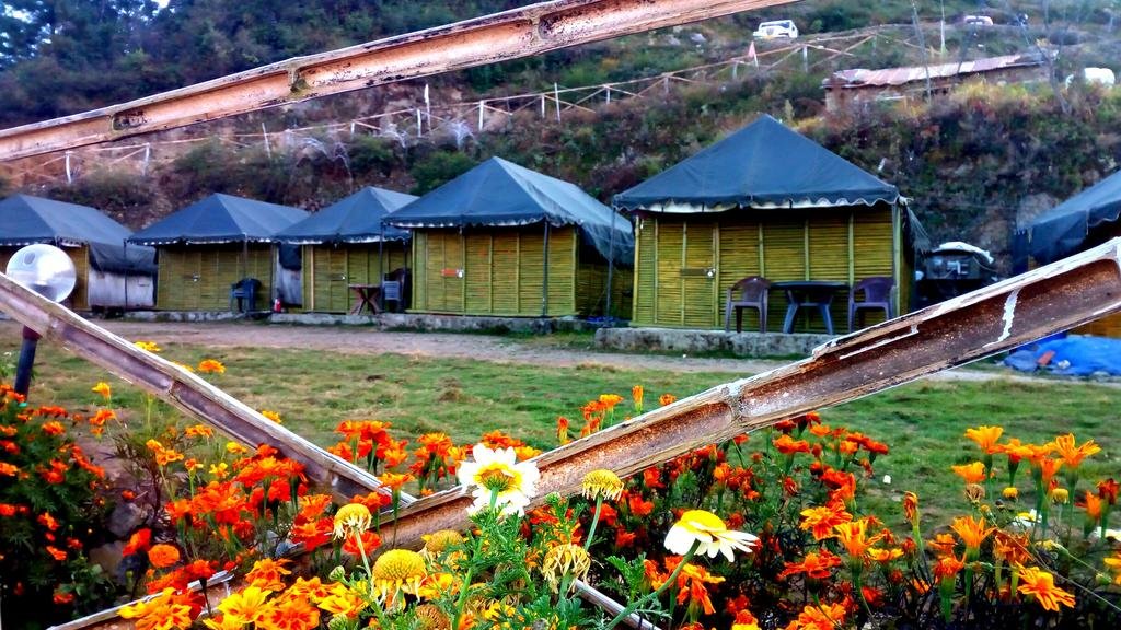 Camp Dhanaulti Magic 