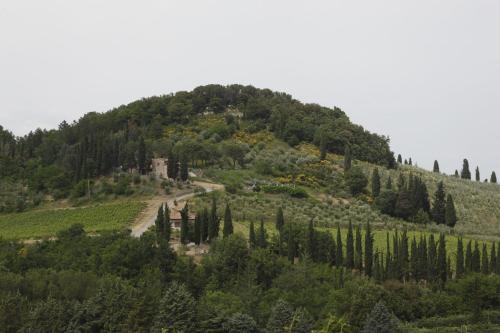 B&b Podere Montese 