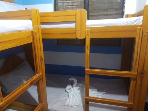 Chizzy Homes Travel And Tour 