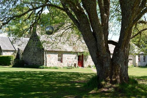 The Dell Of Abernethy 