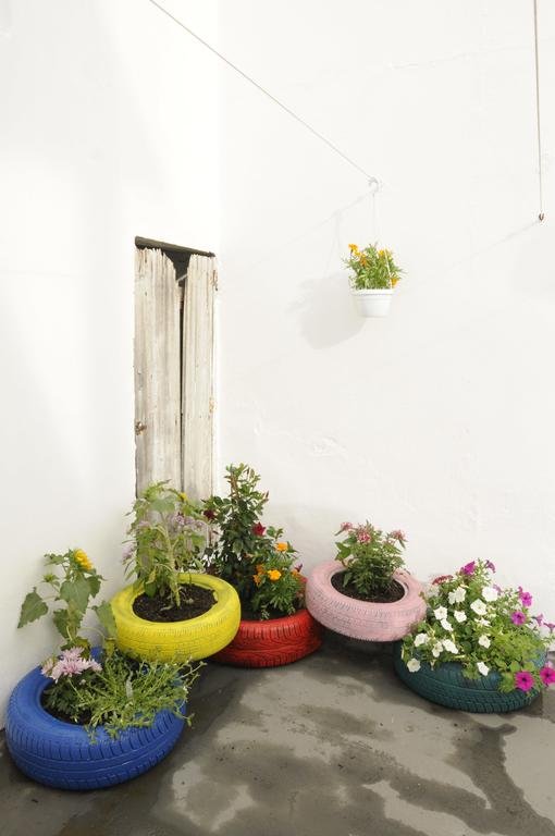 I Colori Di Tiziana 